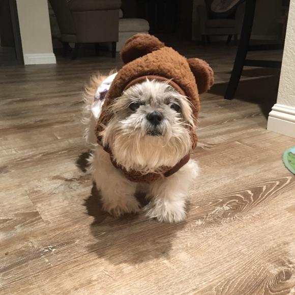 Meet your Posher, Judy - Picture 2 of 2